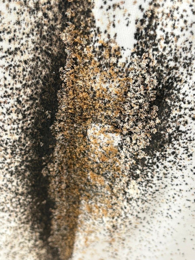 very high bed bug infestation