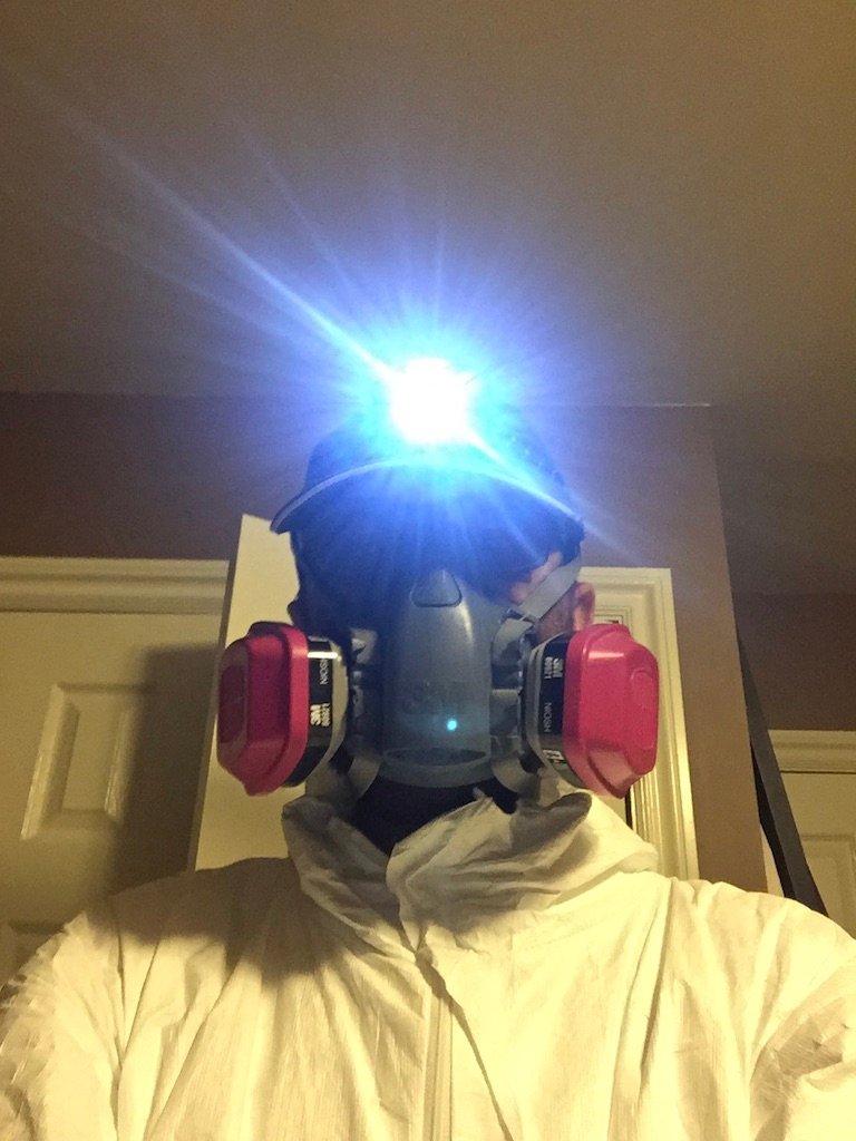 bed bug exterminator and specialist  