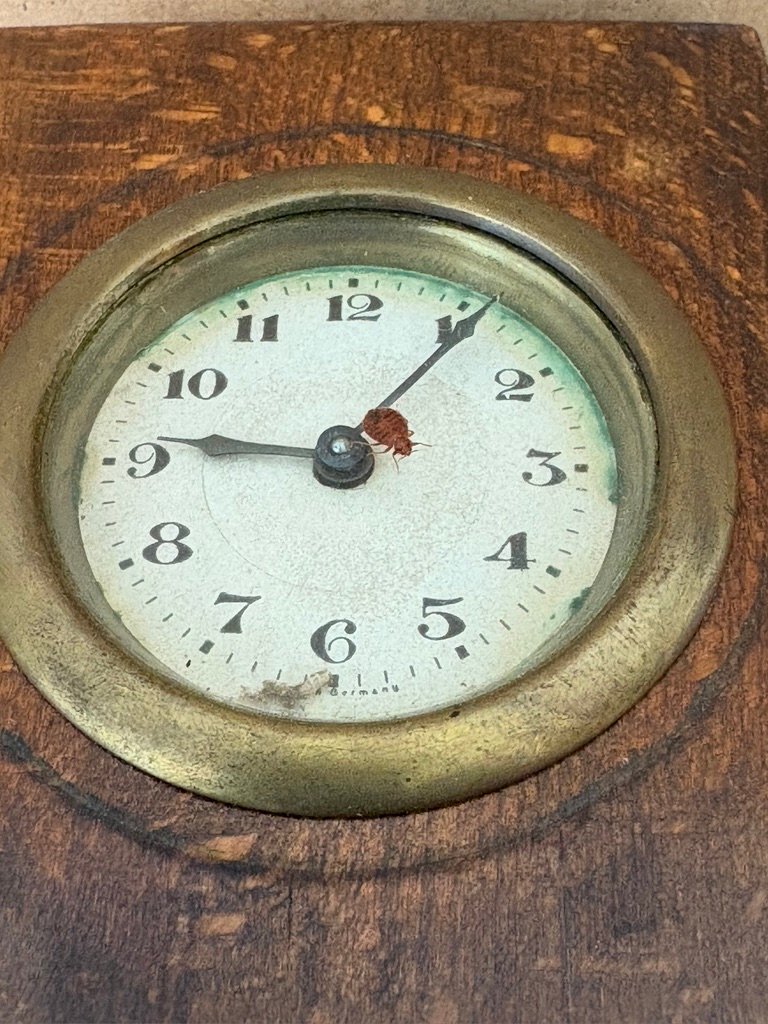 bed bug on  a small clock