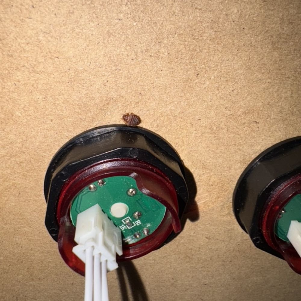 Close-up view of a bed bug clearly showing its small size (near a USB port), oval shape, brown colour, and textured body.