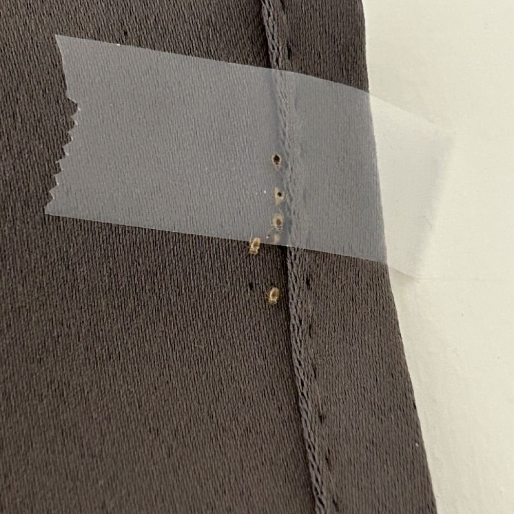 Bed bug nymphs on fabric seam with some stuck to tape, showing pale colour and dark abdominal spots from recent feeding